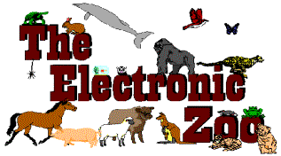 Electronic Zoo